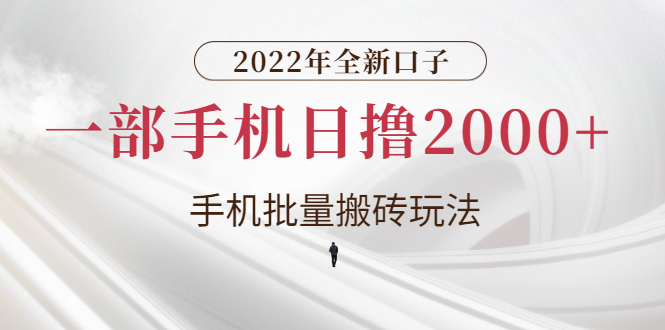 【副业项目3146期】2022年全新搬砖项目，手机批量搬运玩法，一部手机日撸1000+-智创资源网