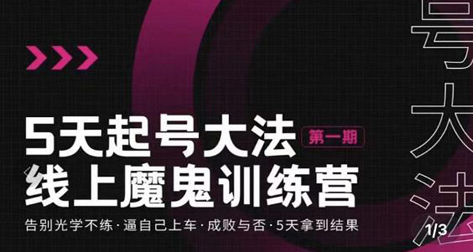 【副业项目3626期】五天起号魔鬼训练营，告别光学不练，逼自己上车，成败与否，5天拿到结果-智创资源网