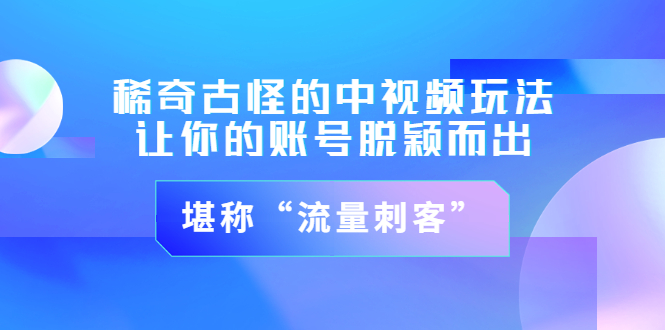 【副业项目3652期】稀奇古怪的中视频玩法，让你的账号脱颖而出，堪称“流量刺客”（图文+视频)-智创资源网