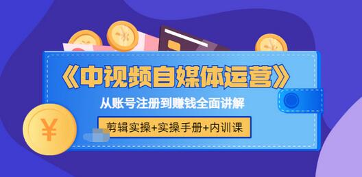 【副业项目3715期】中视频自媒体运营实操+实操手册+内训课，从账号注册到赚钱全面讲解-智创资源网