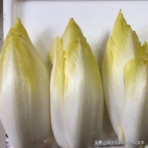 穷人怎么赚钱最快(适合农村穷人创业的项目)插图7 穷人怎么赚钱最快(适合农村穷人创业的项目)插图7
