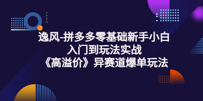 【副业项目3877期】逸风-拼多多新手小白入门到玩法实战，异赛道爆单玩法实操课-智创资源网