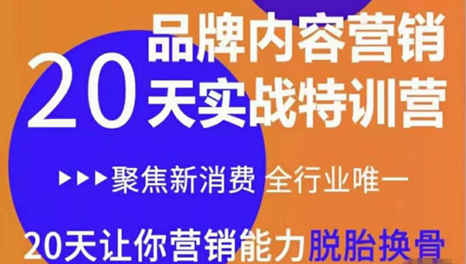 【副业项目3899期】《内容营销实操特训营》20天让你营销能力脱胎换骨（价值3999）-智创资源网