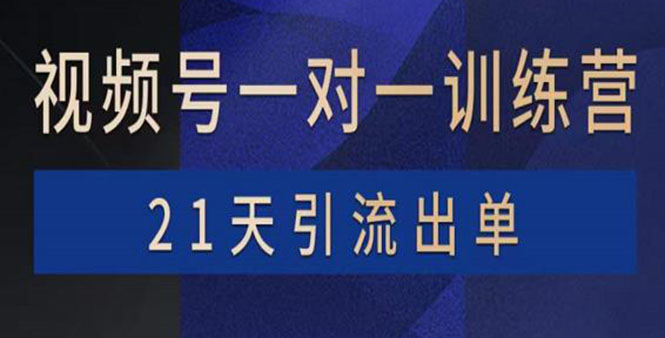 【副业项目4068期】视频号训练营：带货，涨粉，直播，游戏，四大变现新方向，21天引流出单-智创资源网