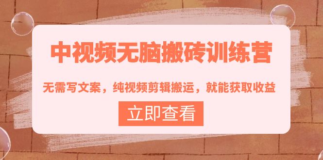 【副业项目4219期】中视频无脑搬砖项目：无需写文案，纯视频剪辑搬运，就能获取收益！-智创资源网
