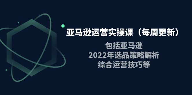 【副业项目4284期】亚马逊运营实操课：包括亚马逊2022选品策略解析，综合运营技巧等-智创资源网