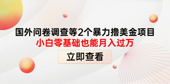 【副业项目4372期】国外问卷调查等2个暴力撸美金项目，小白零基础也能月入过万-智创资源网