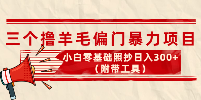 【副业项目4412期】外面卖998的三个撸羊毛偏门暴力项目，小白零基础照抄日入300+（附带工具）-智创资源网
