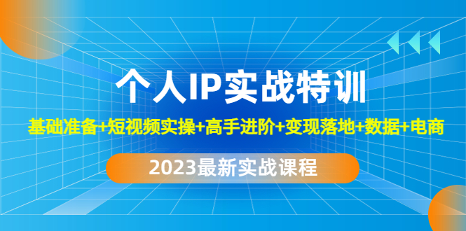 【副业项目4959期】2023个人IP实战特训：基础准备+短视频实操+高手进阶+变现落地+数据+电商-智创资源网
