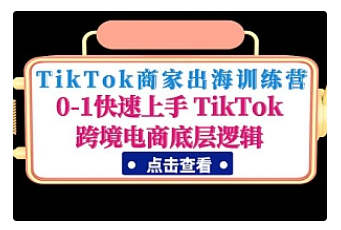【副业项目5013期】TikTok商家出海训练营：0-1快速上手 TikTok跨境电商底层逻辑-智创资源网