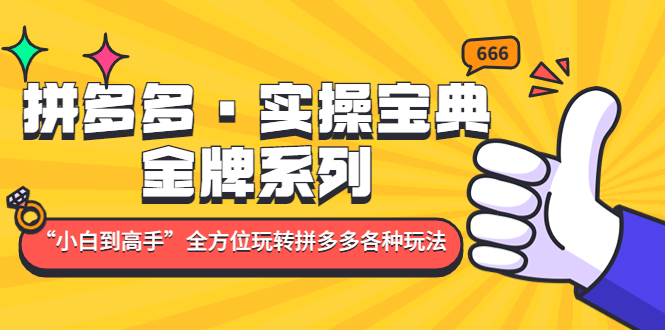 【副业项目5130期】拼多多·实操宝典：金牌系列“小白到高手”带你全方位玩转拼多多各种玩法-智创资源网