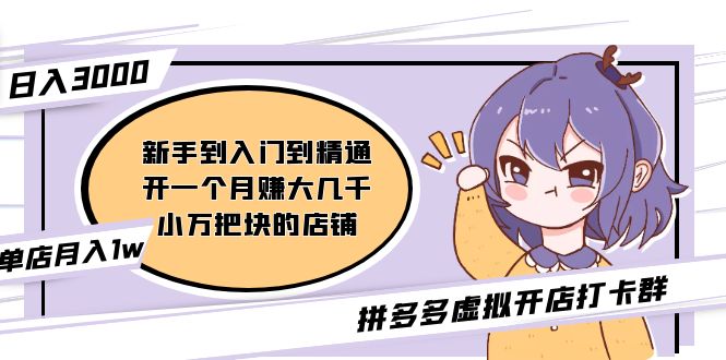 【副业项目5173期】拼多多虚拟开店打卡群：新手到入门到精通（昨日群里有小伙伴日入3000+）-智创资源网