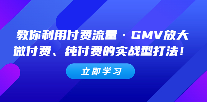 【副业项目5265期】教你利用付费流量·GMV放大，微付费、纯付费的实战型打法-智创资源网