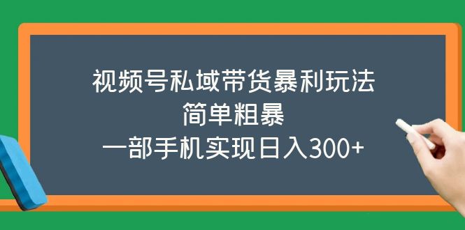 【副业项目5627期】视频号私域带货暴利玩法，简单粗暴，一部手机实现日入300+-智创资源网
