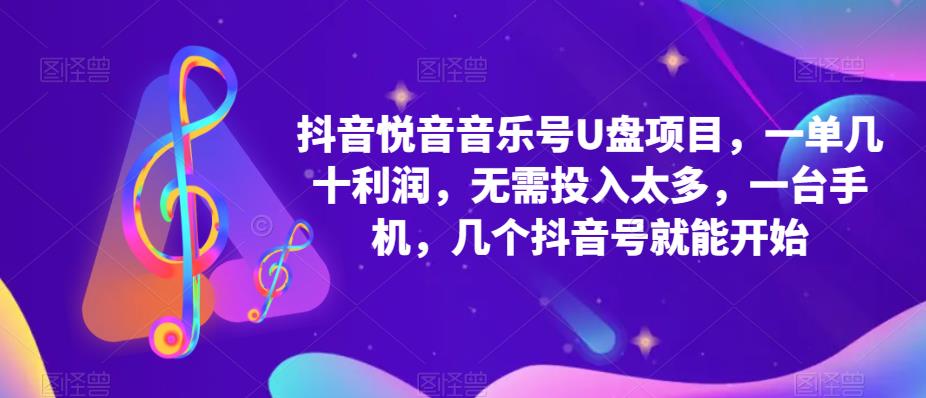 【副业项目5503期】抖音音乐号U盘项目 一单几十利润 无需投入太多 一台手机 几个抖音号就开始-智创资源网
