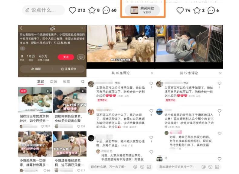【副业项目5898期】小红书蓝海类赛道：小动物打赏与购买变现副业项目，一条龙玩法分享给你！-智创资源网