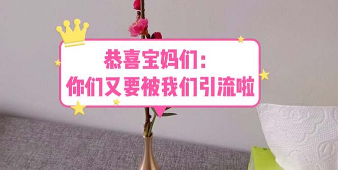 【副业项目5918期】恭喜宝妈们：你们又要被我们引流了（教程+222g资料）-智创资源网