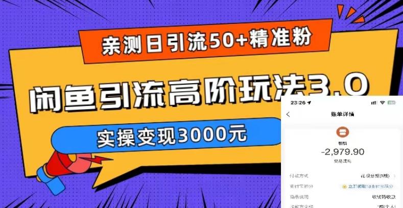 【副业项目5795期】实测日引50+精准粉，闲鱼引流高阶玩法3.0，实操变现3000元-智创资源网