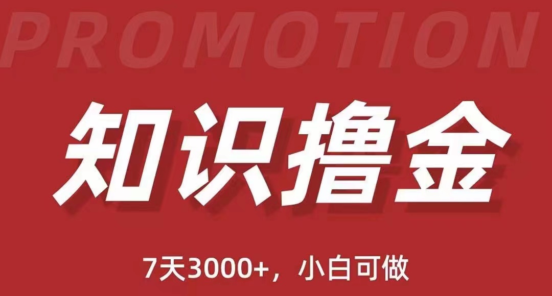 【副业项目5702期】抖音知识撸金项目：简单粗暴日入1000+执行力强当天见收益(教程+资料)-智创资源网