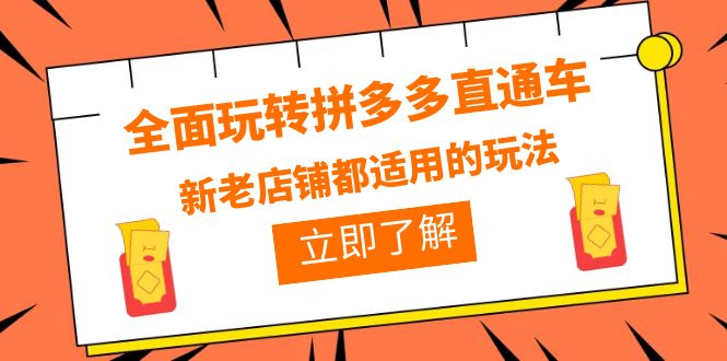 【副业项目6359期】全面玩转拼多多直通车，新老店铺都适用的玩法（12节精华课）-智创资源网