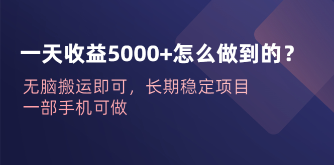 【副业项目6540期】一天收益5000+怎么做到的？无脑搬运即可，长期稳定项目，一部手机可做-智创资源网