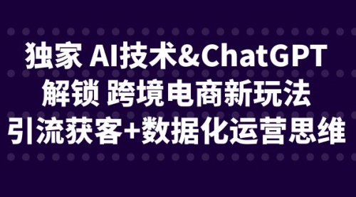 【副业项目6780期】独家 AI技术&ChatGPT解锁 跨境电商新玩法，引流获客+数据化运营思维-智创资源网