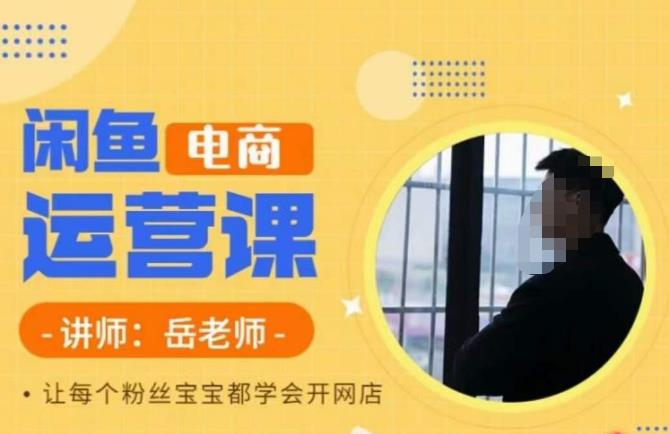 【副业项目6829期】岳老师·闲鱼电商运营课，让每个粉丝宝宝都学会开网店-智创资源网