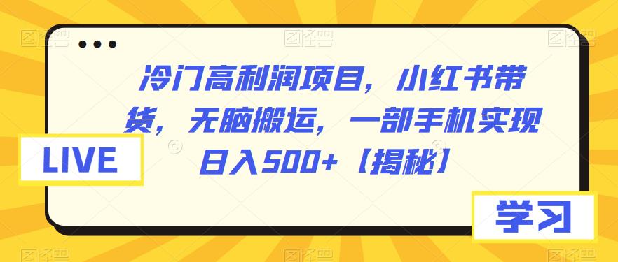 【副业项目6875期】冷门高利润项目，小红书带货，无脑搬运，一部手机实现日入500+【揭秘】-智创资源网
