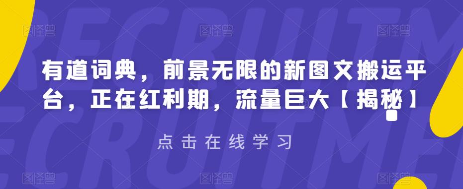 【副业项目6843期】有道词典，前景无限的新图文搬运平台，正在红利期，流量巨大【揭秘】-智创资源网