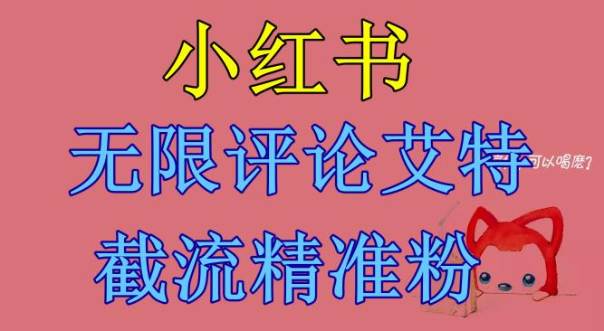【副业项目6846期】小红书无限评论艾特截流精准粉（软件+教程）-智创资源网