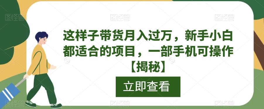 【副业项目6858期】这样子带货月入过万，新手小白都适合的项目，一部手机可操作【揭秘】-智创资源网