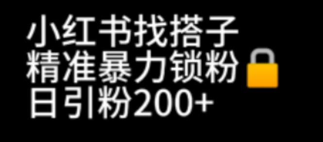 【副业项目7040期】小红书找搭子暴力精准锁粉+引流日引200+精准粉-智创资源网