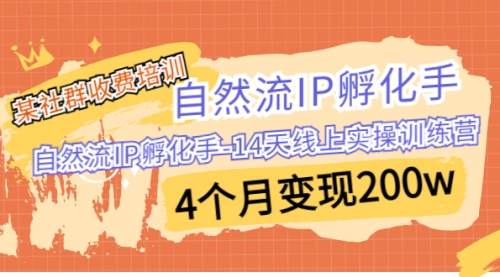 【副业项目7109期】自然流IP孵化手-14天线上实操训练营 4个月变现200w-智创资源网