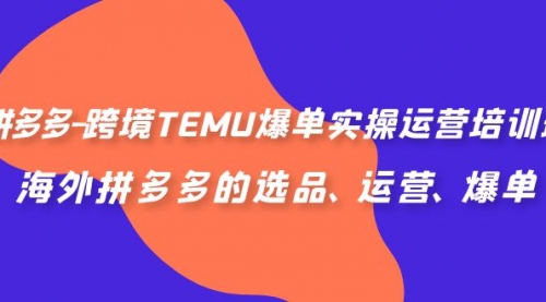 【副业项目7128期】拼多多-跨境TEMU爆单实操运营培训班，海外拼多多的选品、运营、爆单-智创资源网