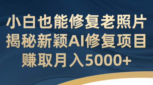 【副业项目7218期】小白也能修复老照片！揭秘新颖AI修复项目-智创资源网