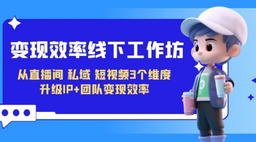 【副业项目7241期】变现-效率线下工作坊，从直播间、私域、短视频3个维度 升级IP+团队变现效率-智创资源网