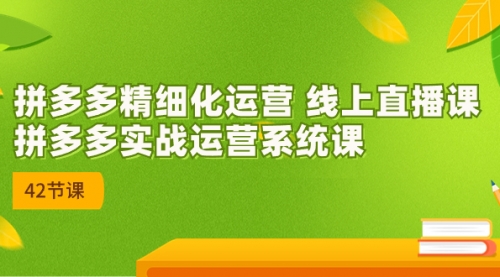 【副业项目7292期】2023年新课-拼多多精细化运营-智创资源网