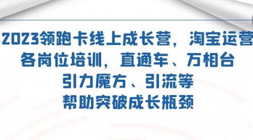 【副业项目7677期】2023领跑·卡 线上成长营 淘宝运营各岗位培训 直通车 万相台 引力魔方 引流-智创资源网