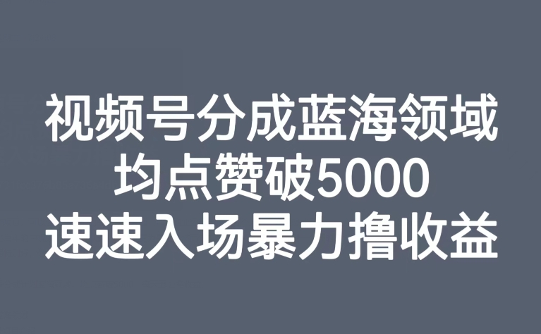 【副业项目8023期】视频号分成蓝海领域，均点赞破5000，速速入场暴力撸收益-智创资源网