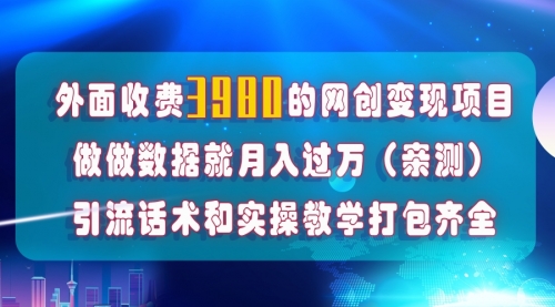 【副业项目8036期】在短视频等全媒体平台做数据流量优化，实测一月1W+，在外至少收费4000+-智创资源网