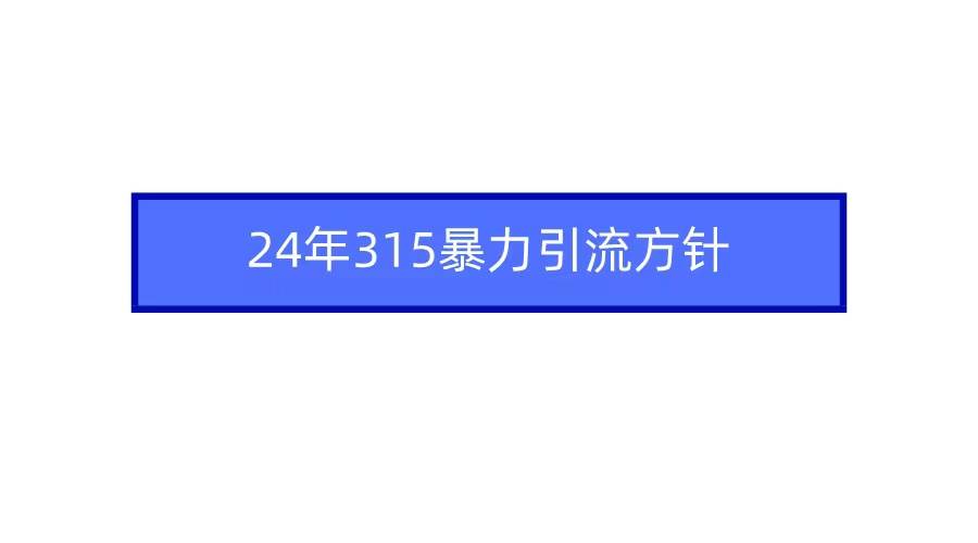 2024年315暴力引流方针-智创资源网