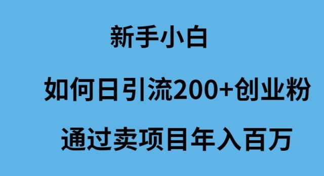 新手小白如何日引流200+创业粉通过卖项目年入百万-智创资源网