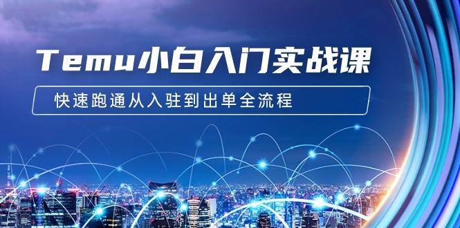 Temu小白入门实战课：跨境拼多多电商培训 快速跑通从入驻到出单全流程-12节-智创资源网