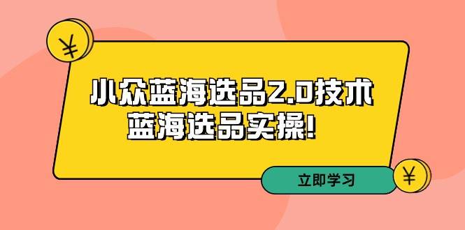 拼多多培训第33期：小众蓝海选品2.0技术-蓝海选品实操！-智创资源网