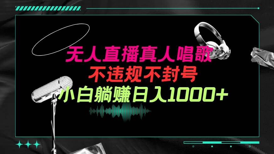 抖音24小时无人直播音乐，不违规，不封号纯撸音浪，小白实操当天日入1000+-智创资源网