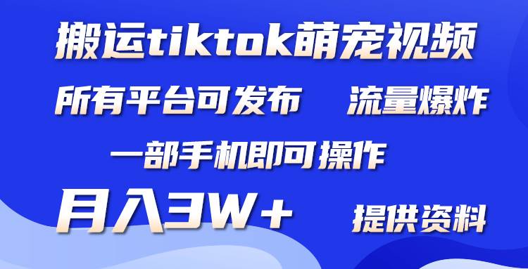 搬运Tiktok萌宠类视频，一部手机即可。所有短视频平台均可操作，月入3W+-智创资源网