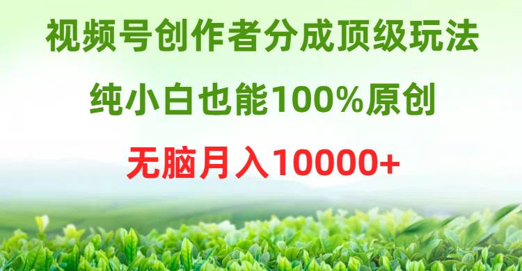视频号创作者分成顶级玩法，纯小白也能100%原创，无脑月入10000+-智创资源网