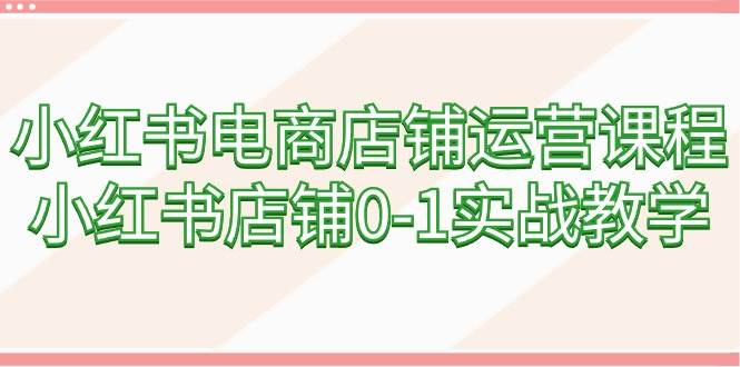 小红书电商店铺运营课程，小红书店铺0-1实战教学（60节课）-智创资源网