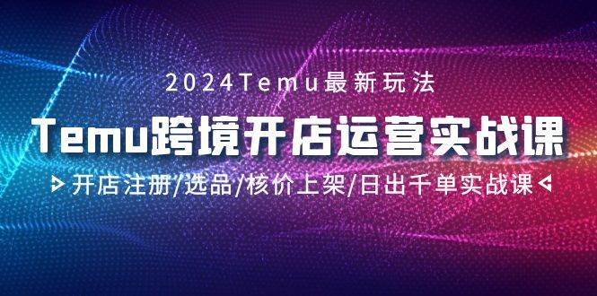 2024Temu跨境开店运营实战课，开店注册/选品/核价上架/日出千单实战课-智创资源网