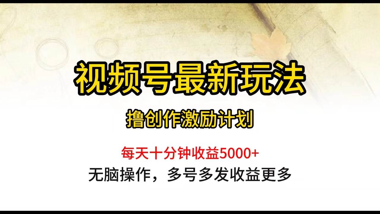 视频号最新玩法，每日一小时月入5000+-智创资源网